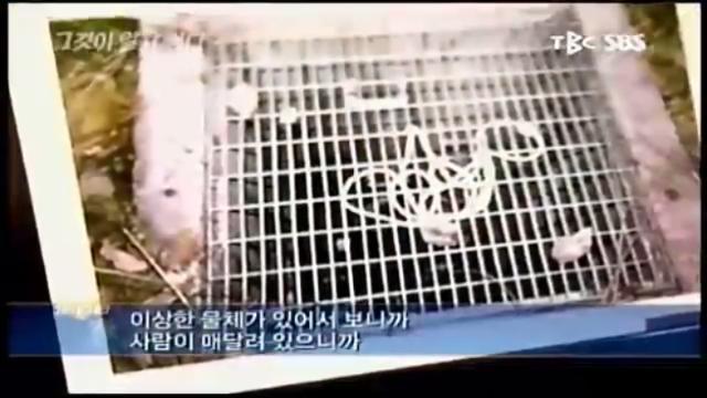 [그알] 오창 맨홀 변사사건 | 인스티즈