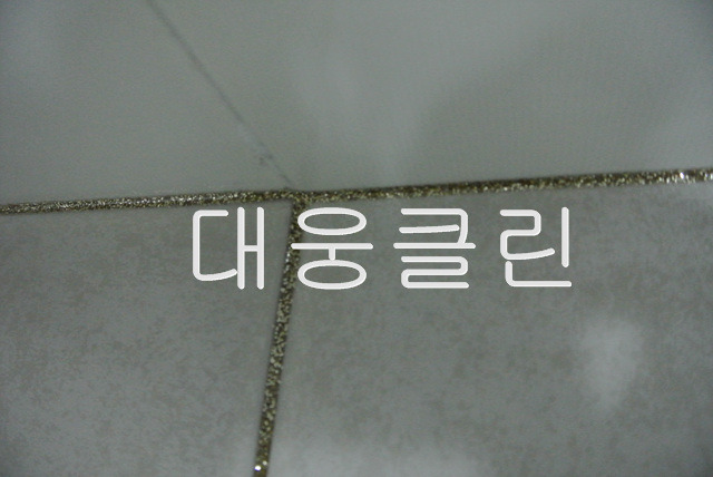 수영클린 이미지