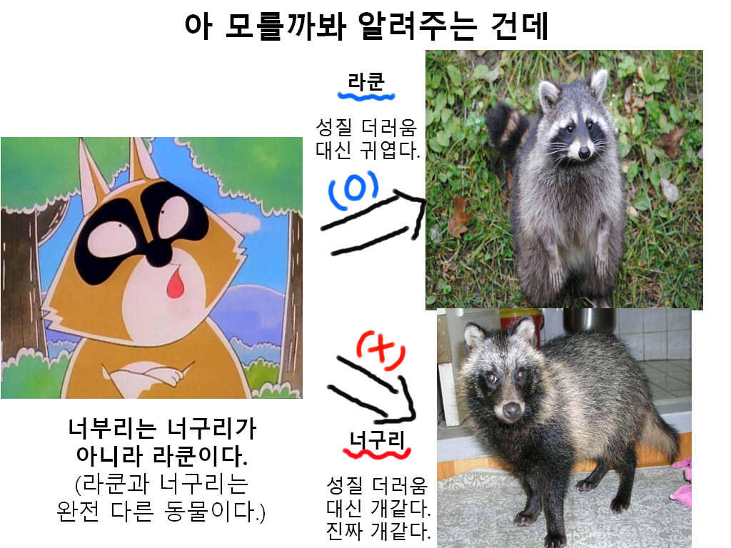 아는형에게 만화 보노보노를 추천한 이유 | 인스티즈
