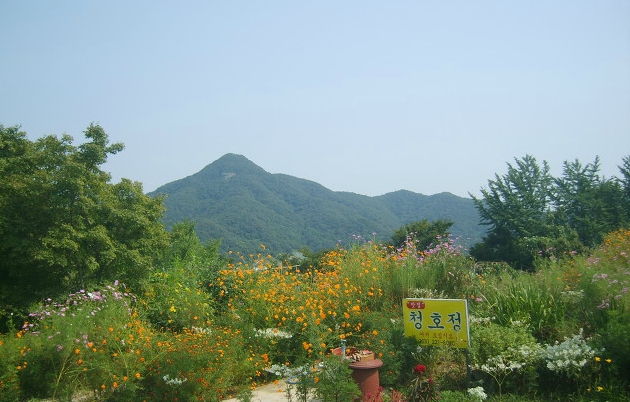 청호정 이미지