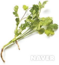 고수 이미지