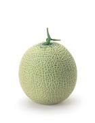스시용 이미지