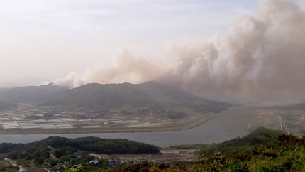 상주 산불로 1명 사망·2명 부상...진화 중 | 인스티즈