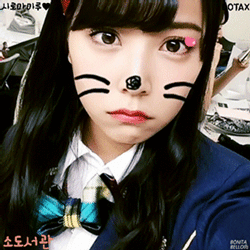 안전환 리즈시절 .jpg | 인스티즈