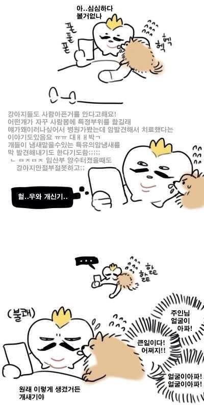 개가 특정부위를 핥는 이유.jpg | 인스티즈