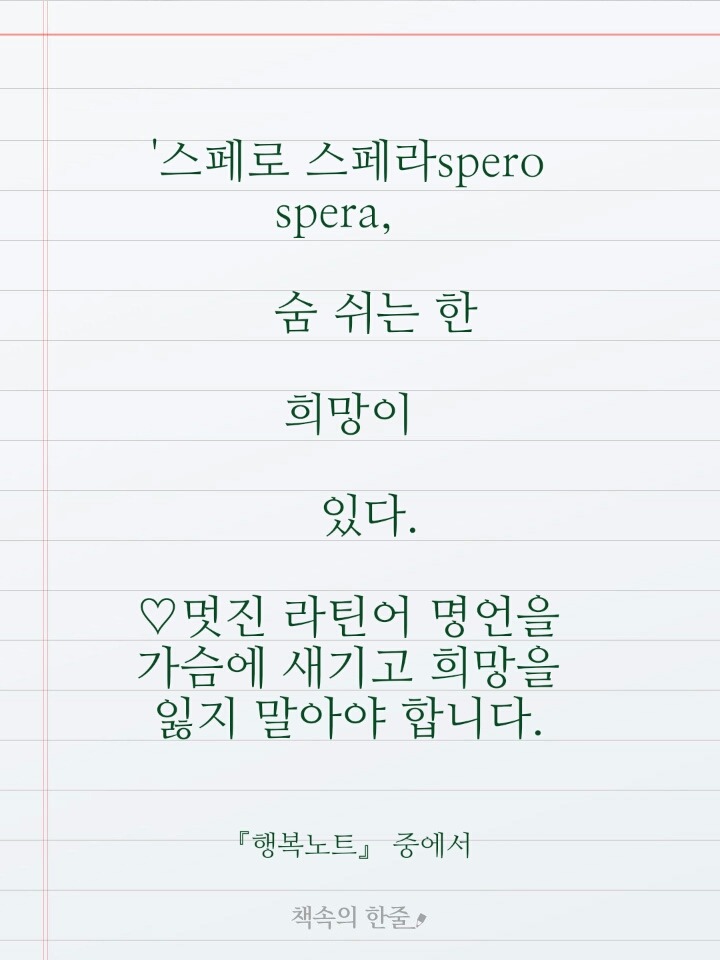 스페로스페라 이미지