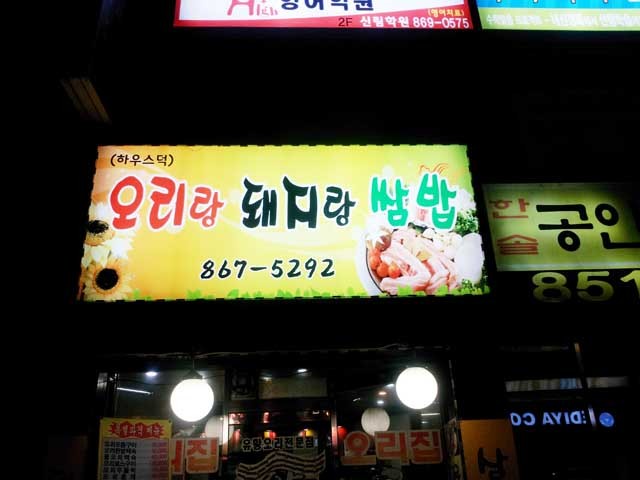 오리랑돼지랑 이미지