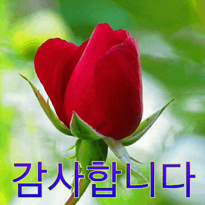 운좋은날 이미지