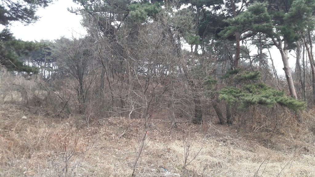 전원모텔 이미지