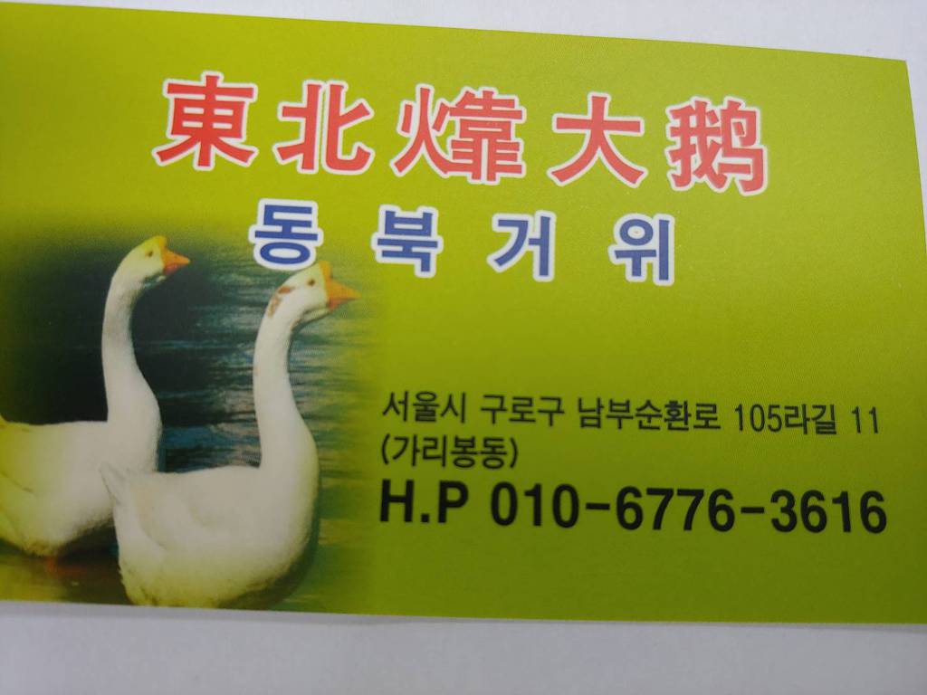동북거위 이미지