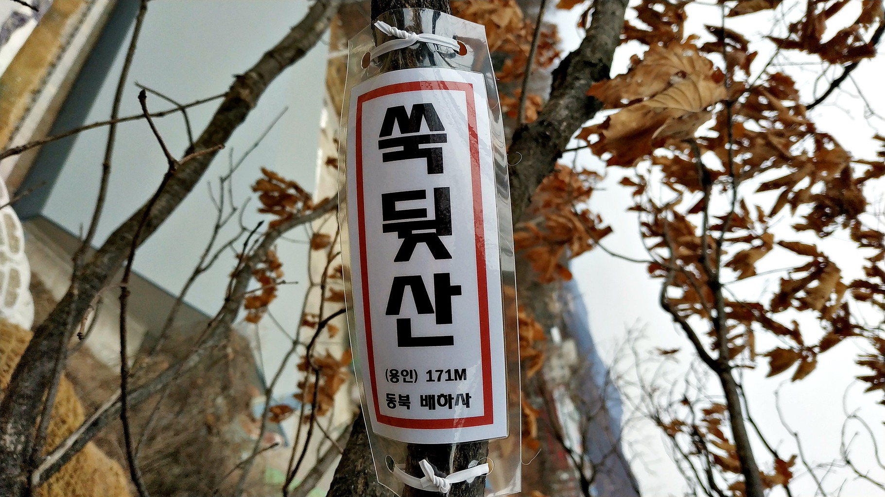 긴장등이산 이미지