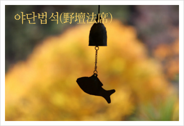 야단법석 이미지