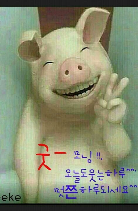 아이쿠 이미지