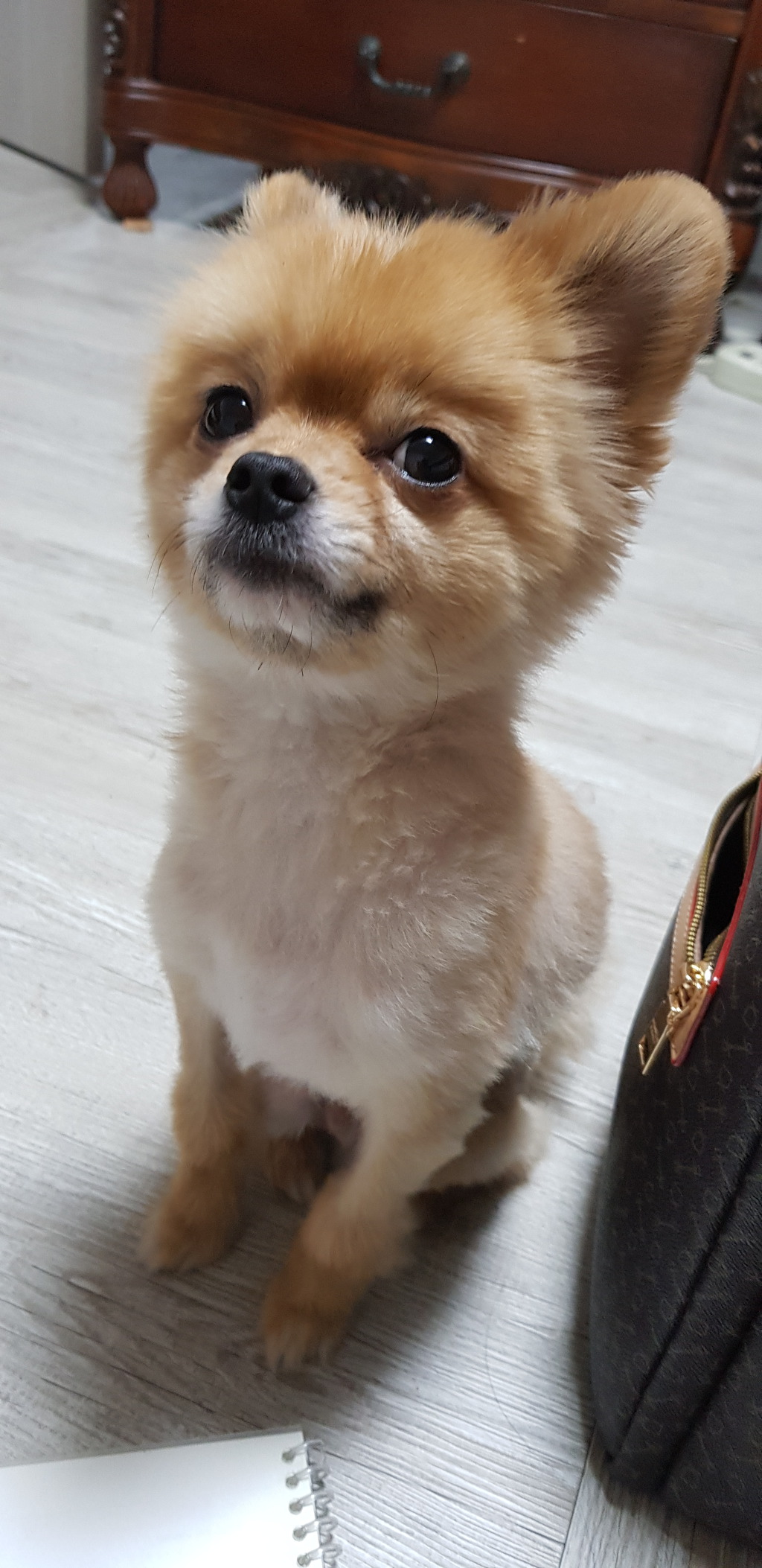 깐돌이 이미지