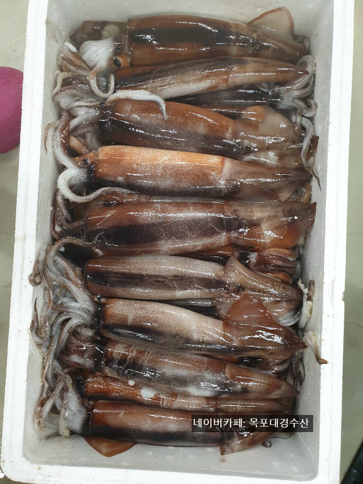 (주)대경수산 이미지