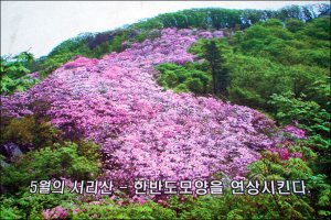 365차 이미지