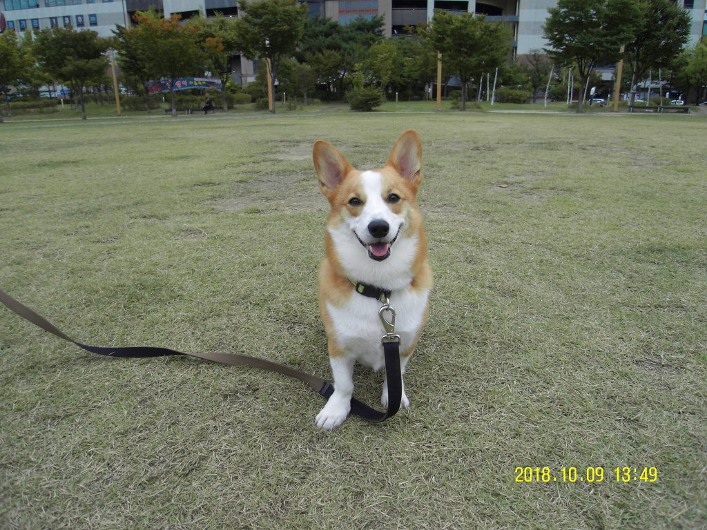 꾸꾸 이미지