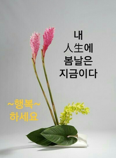 친구야술한잔하세 이미지