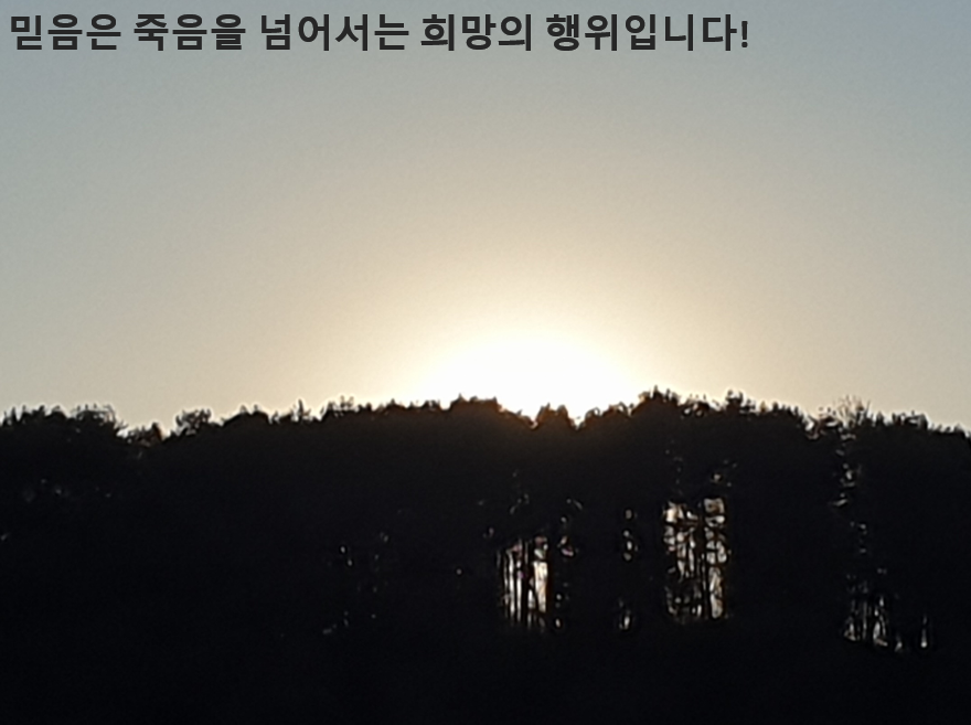 희망 이미지