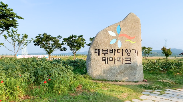 서해 일몰 여행 코스 추천 | 인스티즈