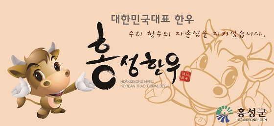 홍성센타 이미지