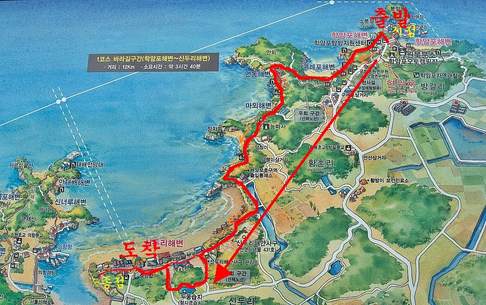 바다바라길 이미지