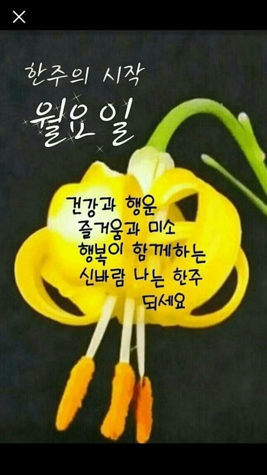 한주 이미지