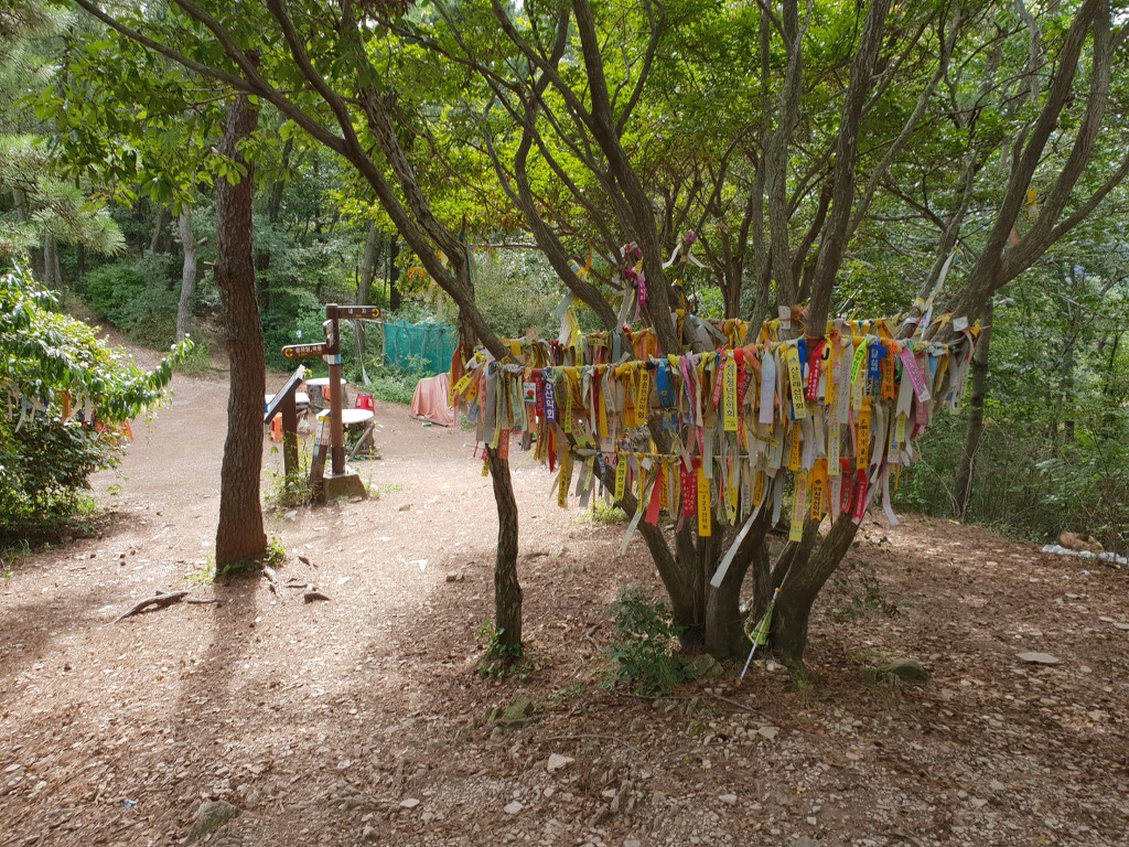 통영바다풍경 이미지