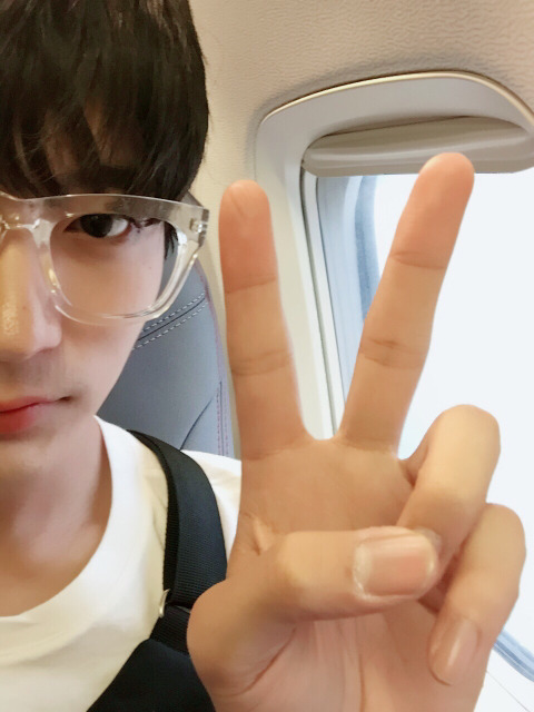 요아시스 이미지