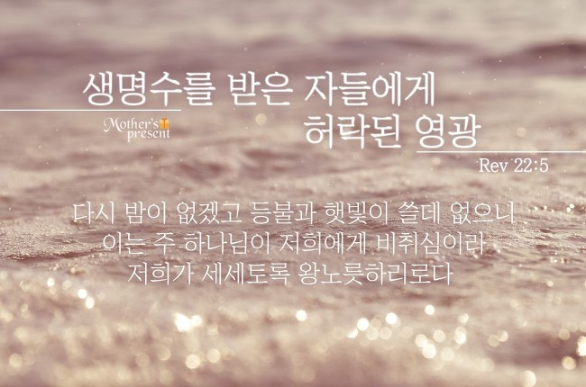 솔로몬슈퍼 이미지