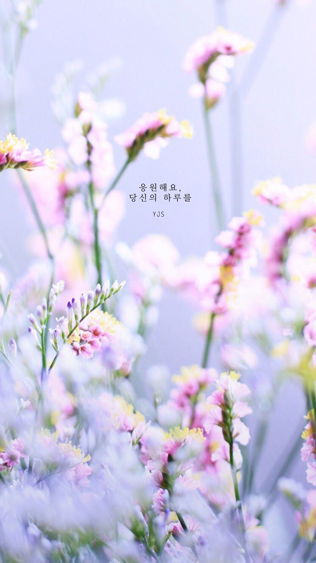 온새미로 이미지