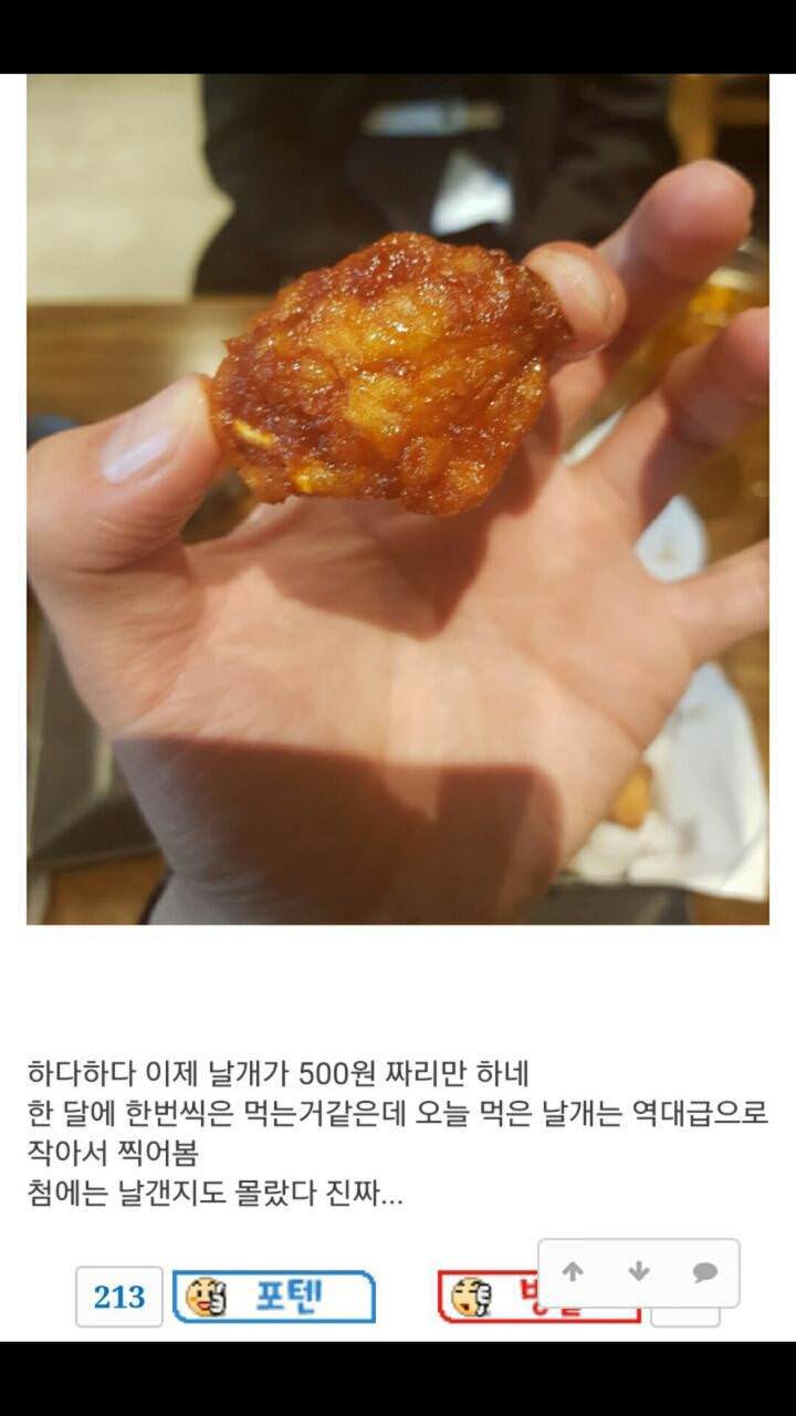 교촌치킨 논란의 날개크기 | 인스티즈