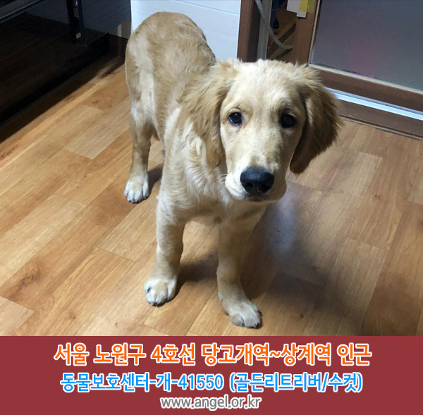 수컷 이미지