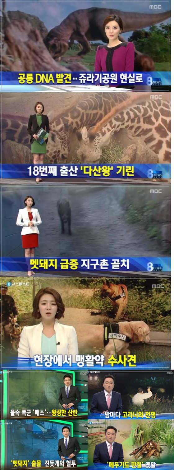 이탈리아 뉴스와 우리나라 뉴스.jpg | 인스티즈