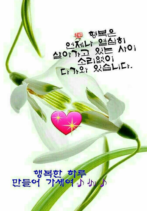 콩닥 이미지