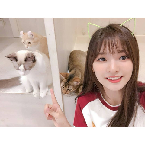 냥이까페간 프로미스 나인 | 인스티즈