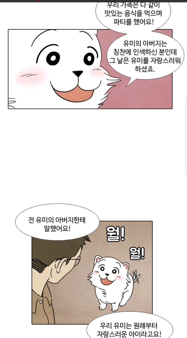 주인 자랑하는 댕댕이들 | 인스티즈