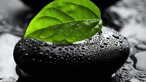 Cafe 내가 이미지