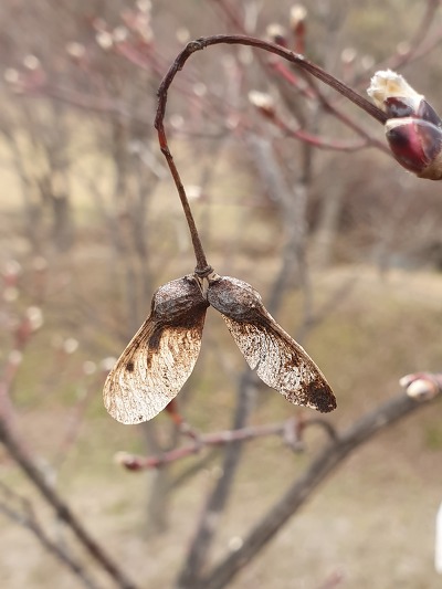 996D94335C9F16CF214D54