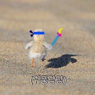 위풍당당 이미지