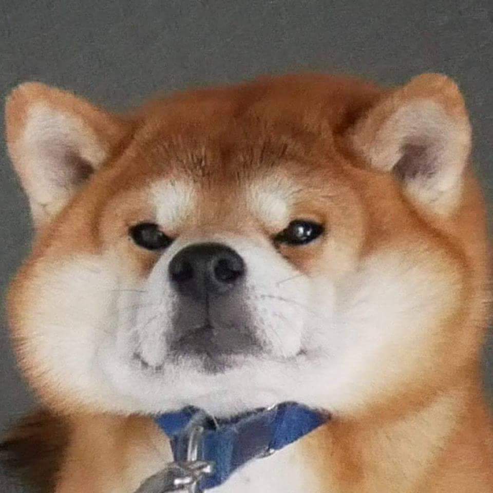 안가 이미지