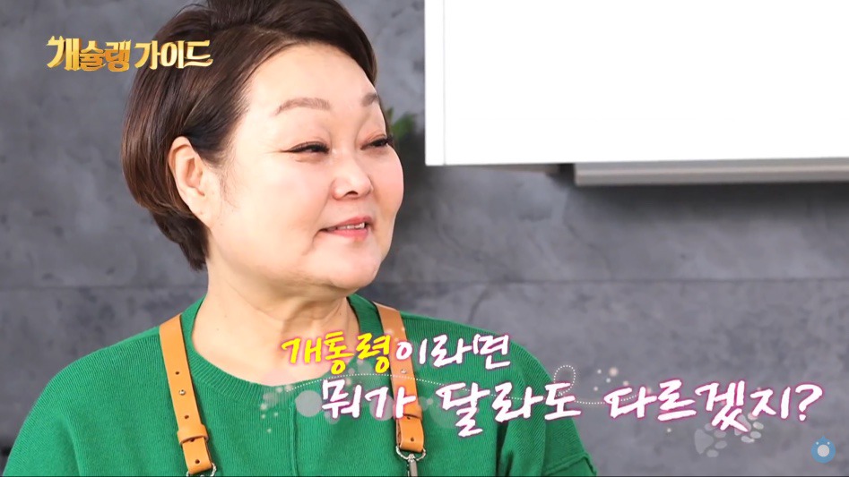 개들에게 생일선물 해주는 강형욱.jpg | 인스티즈