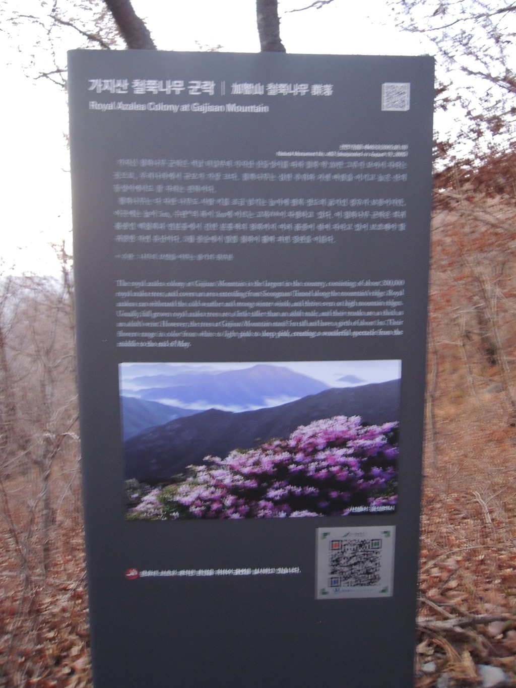 간월산자연휴양림 이미지