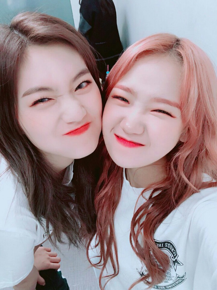 유정 이미지