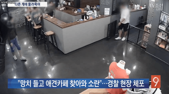 애견카페사건 망치 CCTV.gif | 인스티즈
