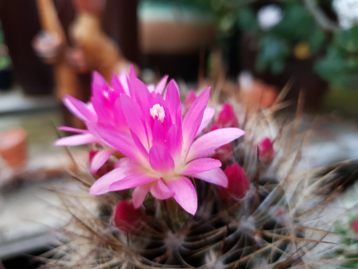 997DF8425CB2B7540726F2