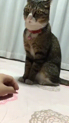 이건 네가 만질 수 있는 방울이 아니야.gif | 인스티즈
