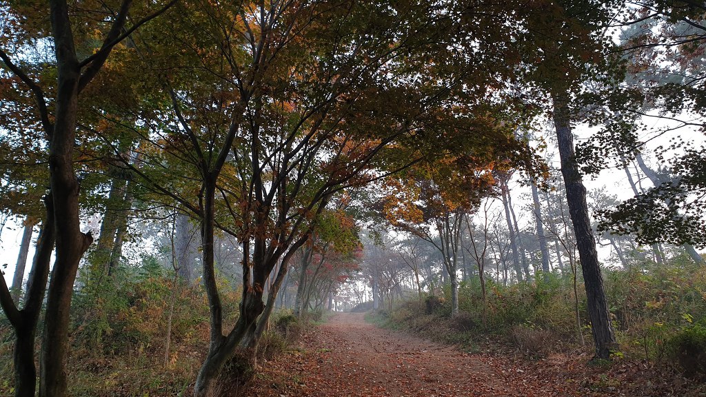마한주유소 이미지