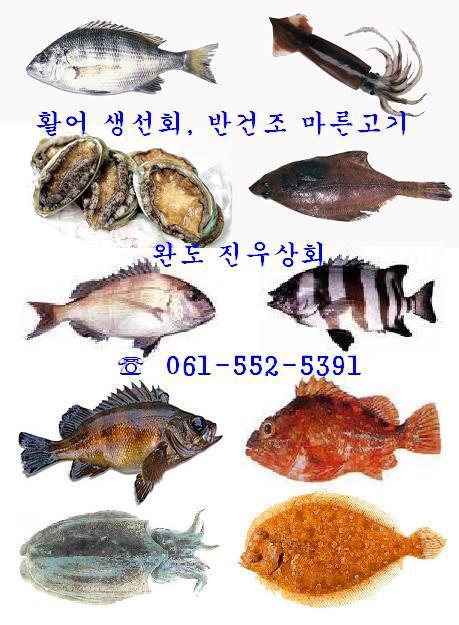완도상회 이미지