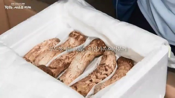 송이버섯 배송작전 | 인스티즈